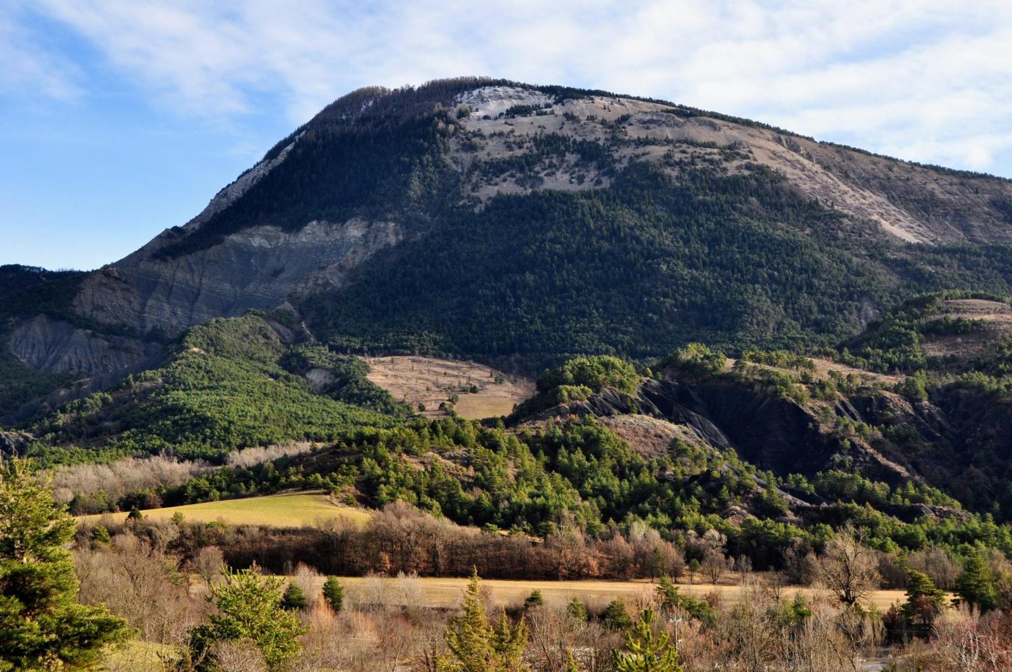 Gite Des Robines Tartonne Exterior foto